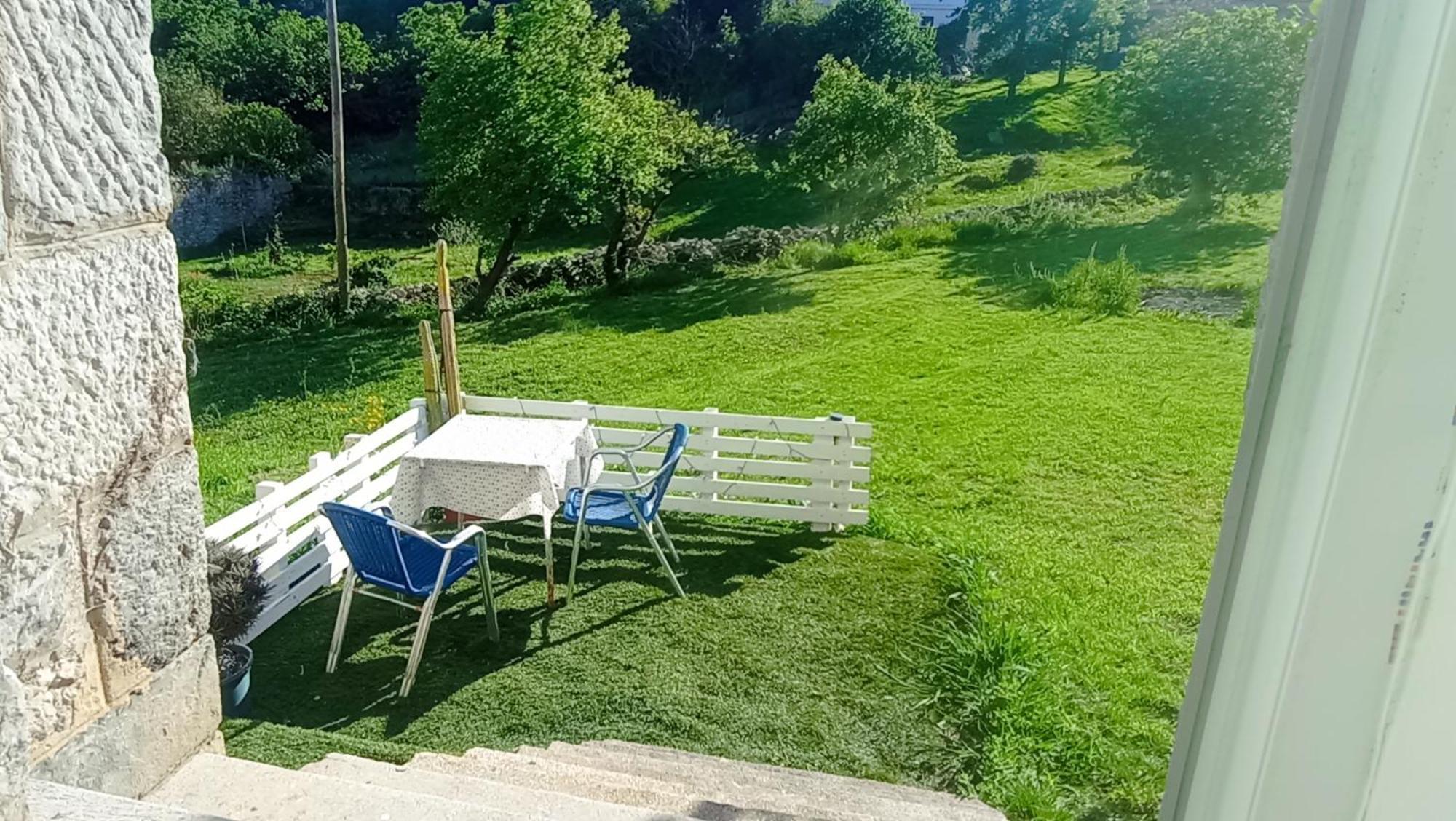 Vivienda En Lekeitio Lägenhet Exteriör bild